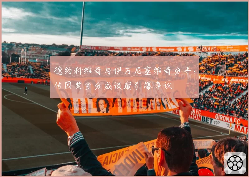 德约科维奇与伊万尼塞维奇分手,传因奖金分成谈崩引爆争议