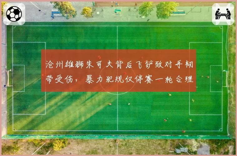 沧州雄狮朱可夫背后飞铲致对手韧带受伤,暴力犯规仅停赛一轮合理吗?