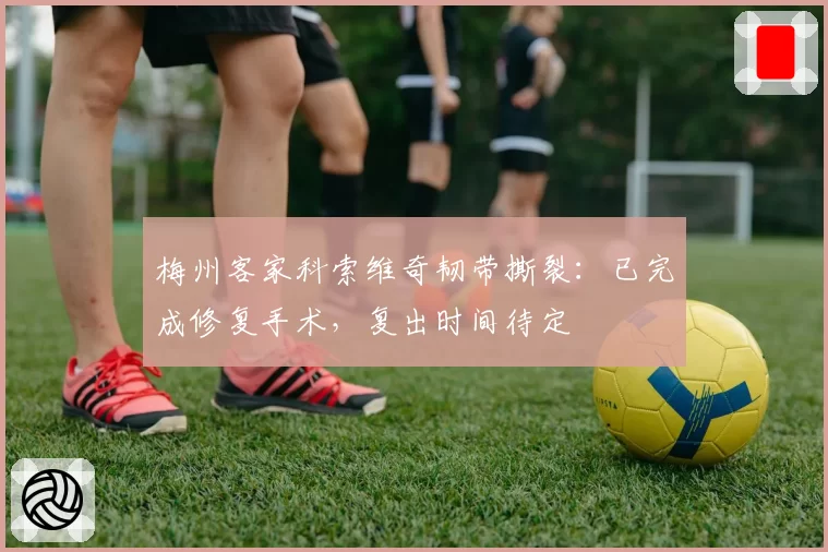 梅州客家科索维奇韧带撕裂:已完成修复手术,复出时间待定