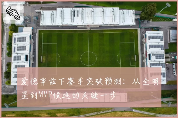 爱德华兹下赛季突破预测：从全明星到MVP候选的关键一步