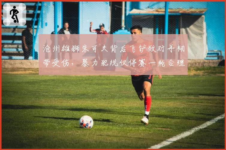 沧州雄狮朱可夫背后飞铲致对手韧带受伤,暴力犯规仅停赛一轮合理吗?